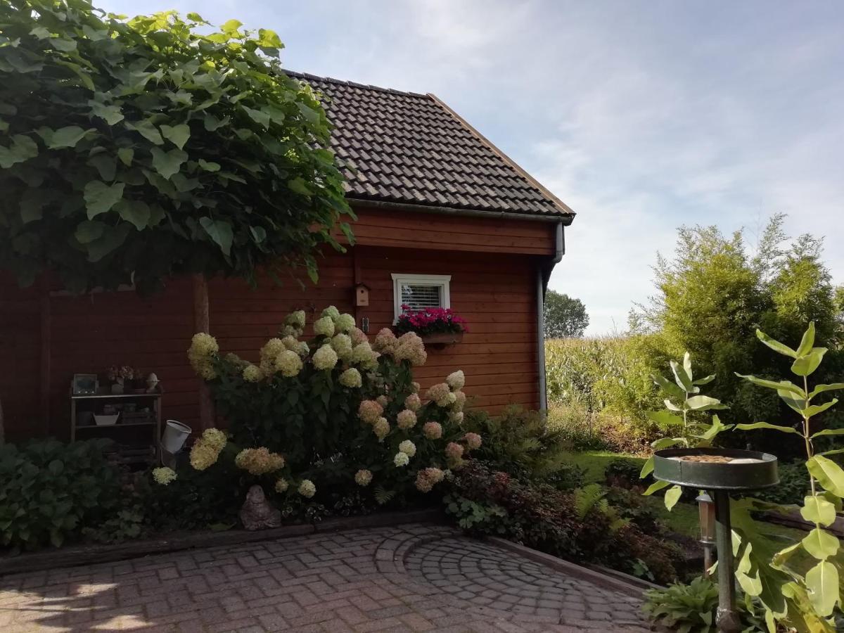 Villa Woodstock B+B Drouwenermond Exterior foto